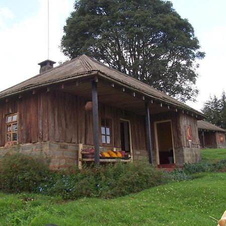 Castle Forest Lodge Mount Kenya National Park Екстериор снимка