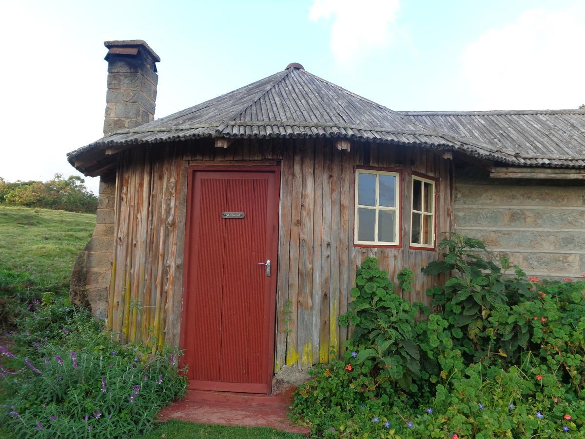 Castle Forest Lodge Mount Kenya National Park Екстериор снимка