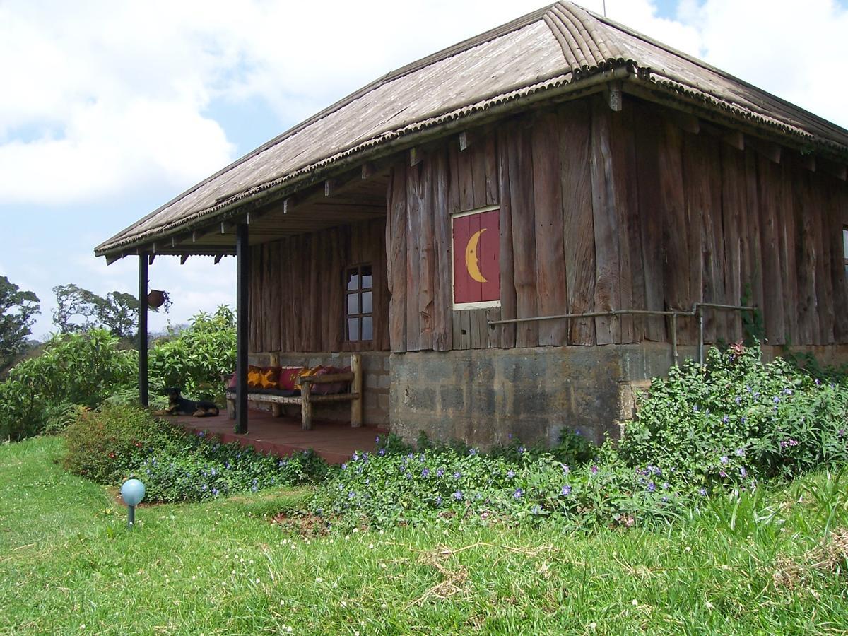 Castle Forest Lodge Mount Kenya National Park Екстериор снимка