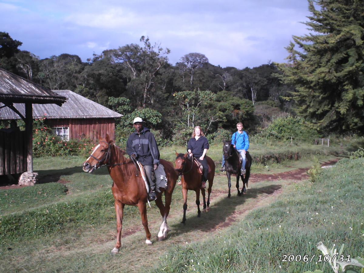 Castle Forest Lodge Mount Kenya National Park Екстериор снимка
