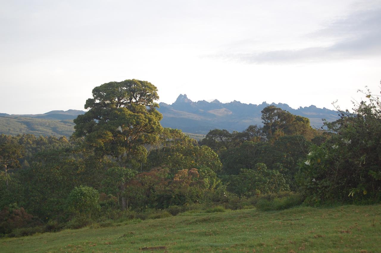 Castle Forest Lodge Mount Kenya National Park Екстериор снимка