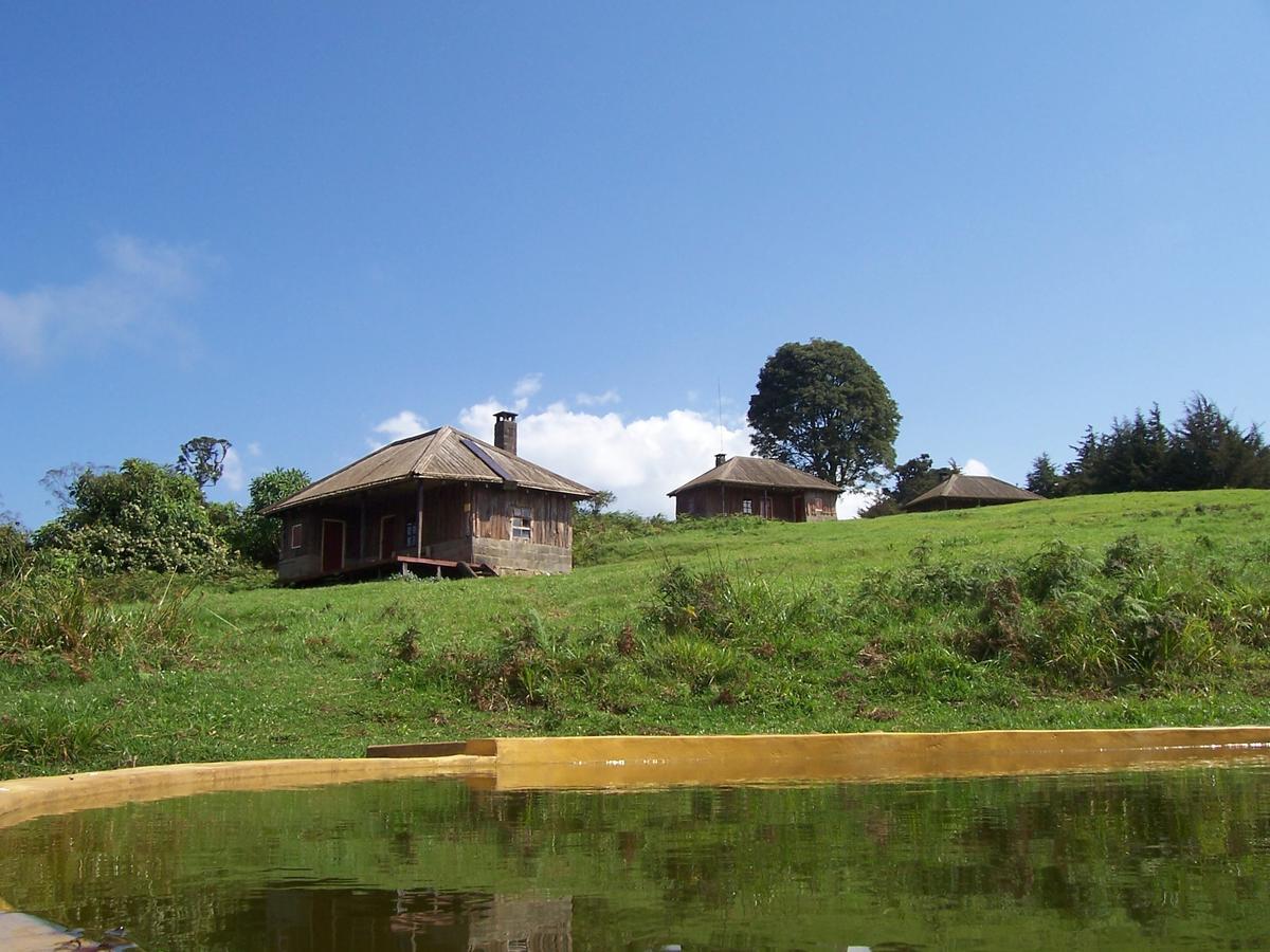 Castle Forest Lodge Mount Kenya National Park Екстериор снимка