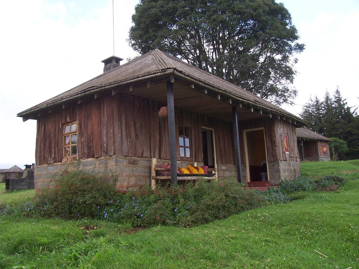 Castle Forest Lodge Mount Kenya National Park Екстериор снимка