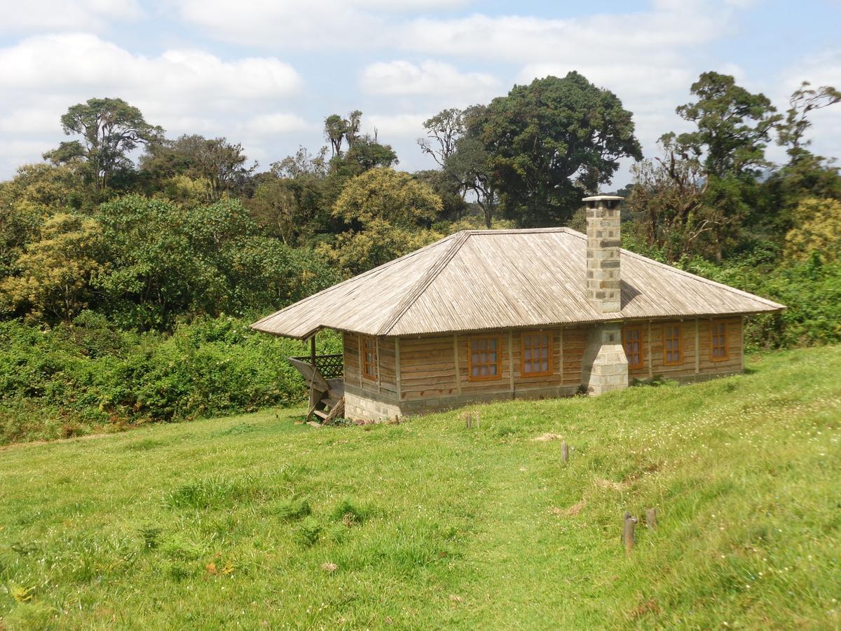 Castle Forest Lodge Mount Kenya National Park Екстериор снимка